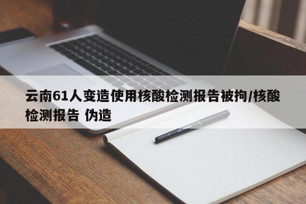云南61人变造使用核酸检测报告被拘/核酸检测报告 伪造