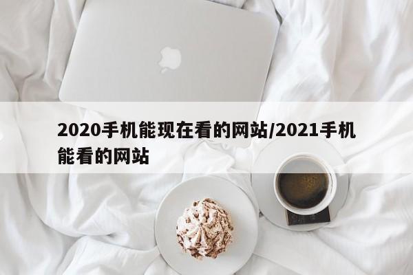 2020手机能现在看的网站/2021手机能看的网站
