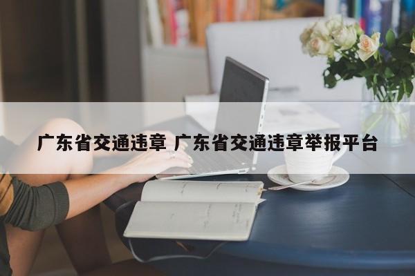 广东省交通违章 广东省交通违章举报平台