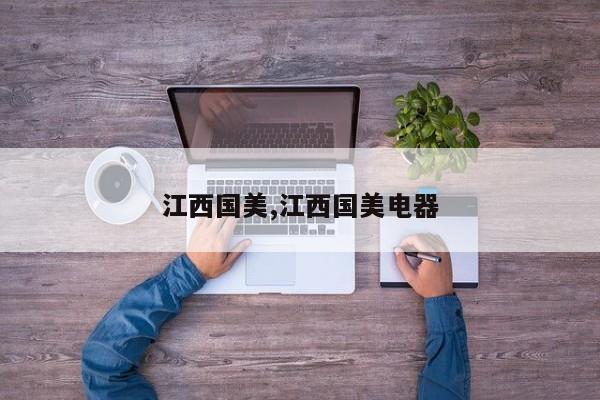 江西国美,江西国美电器