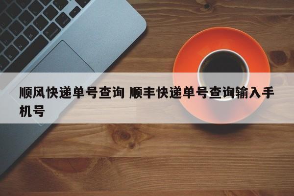 顺风快递单号查询 顺丰快递单号查询输入手机号