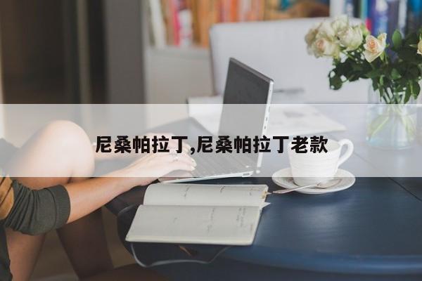 尼桑帕拉丁,尼桑帕拉丁老款